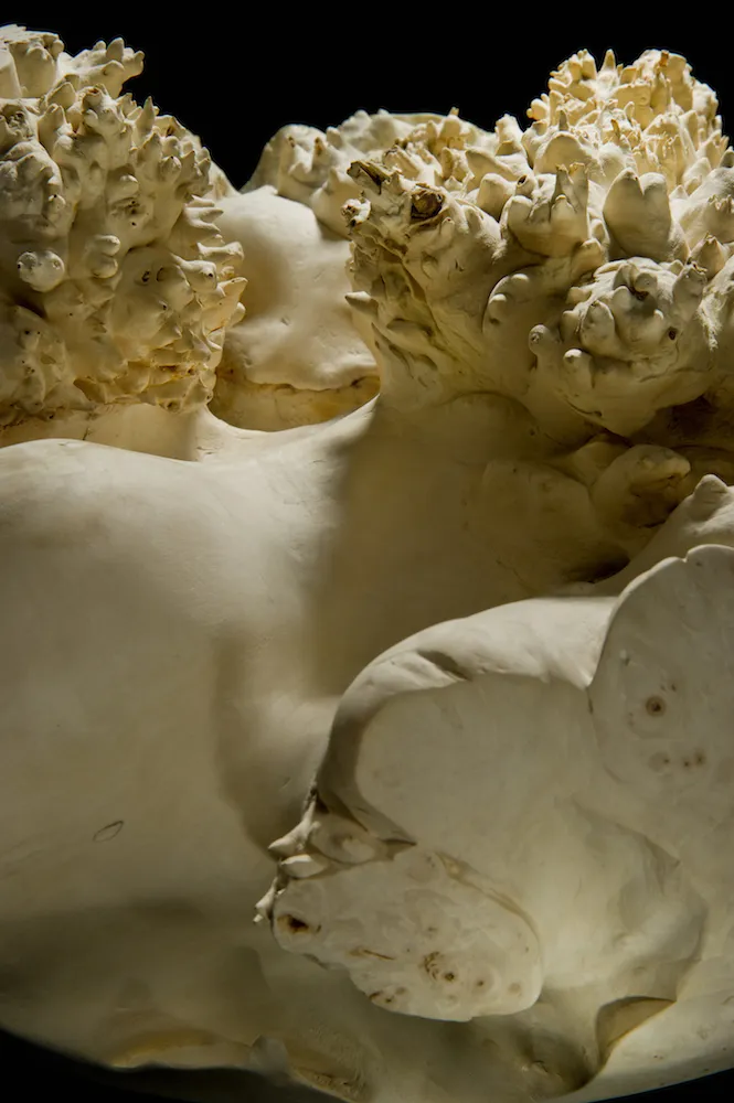 © Eleanor Lakelin. Image credit: Ester Segarra