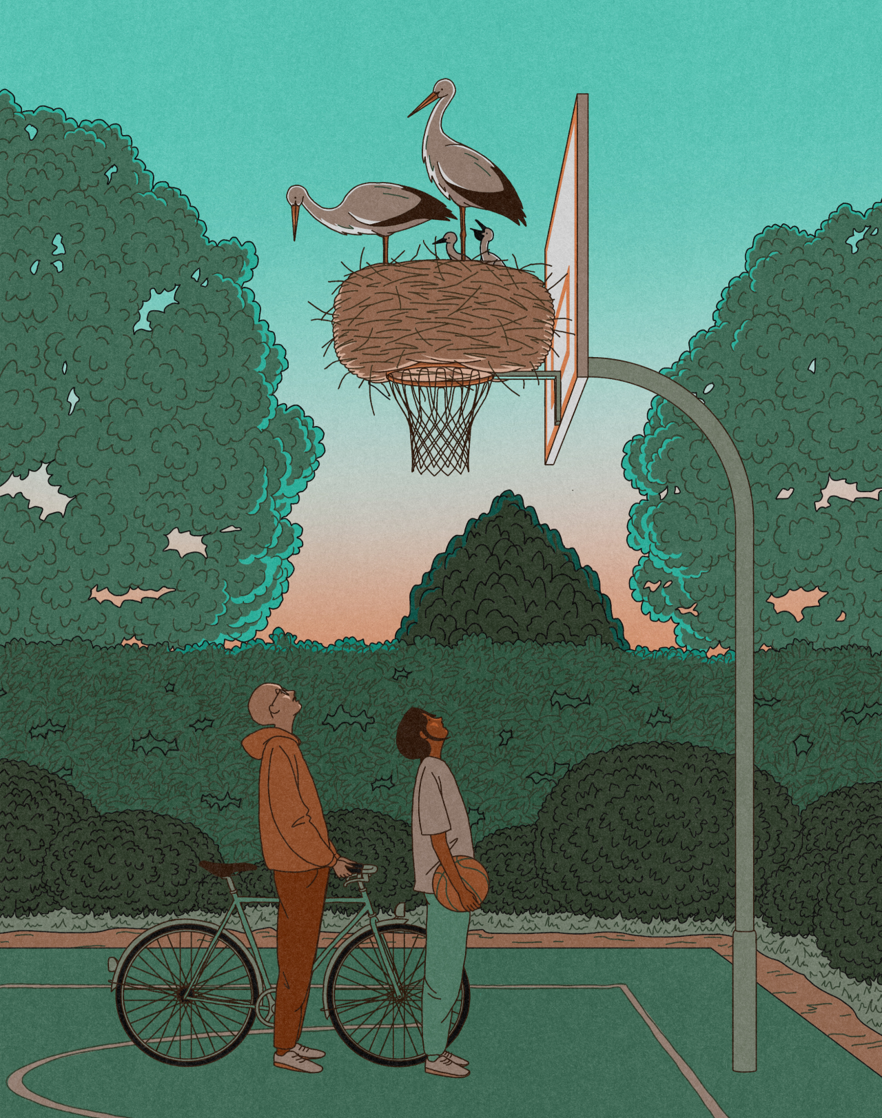 Two people with bicycles stand looking up at a basketball hoop where two storks nest in a woven basket, surrounded by green foliage