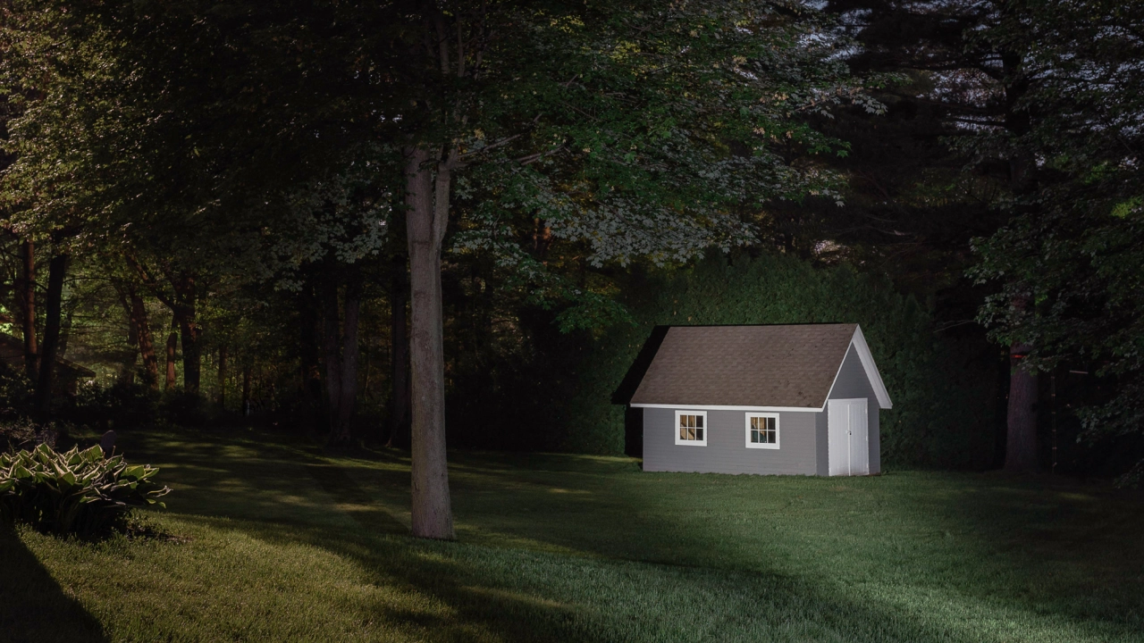 © Michael McCluskey