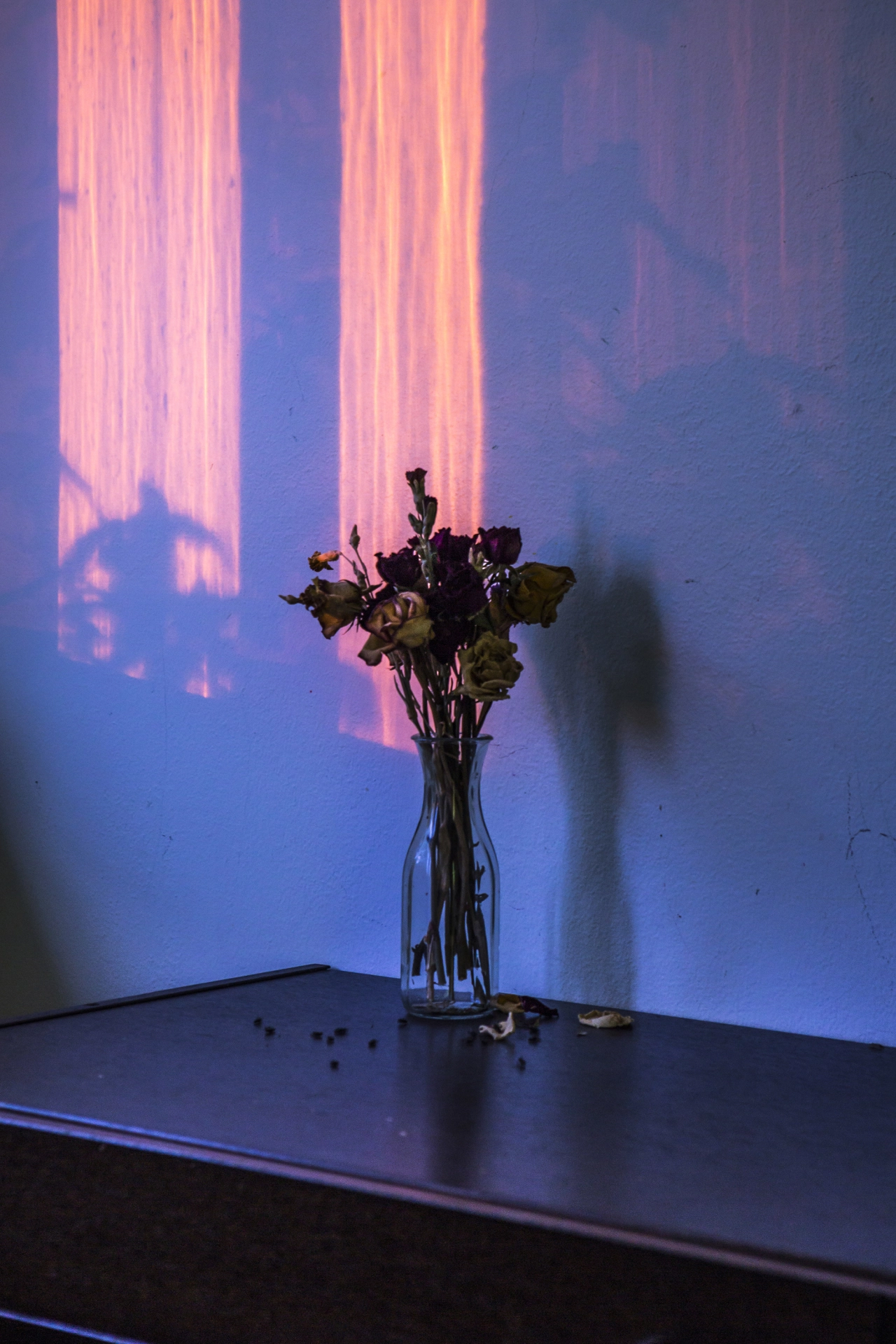 © Maria Lax