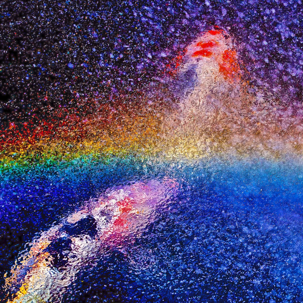 "The Dragon's Gate" by Pen Densham. Part of the Dragon's Gate Koi series. Taken in LA, California, 2014