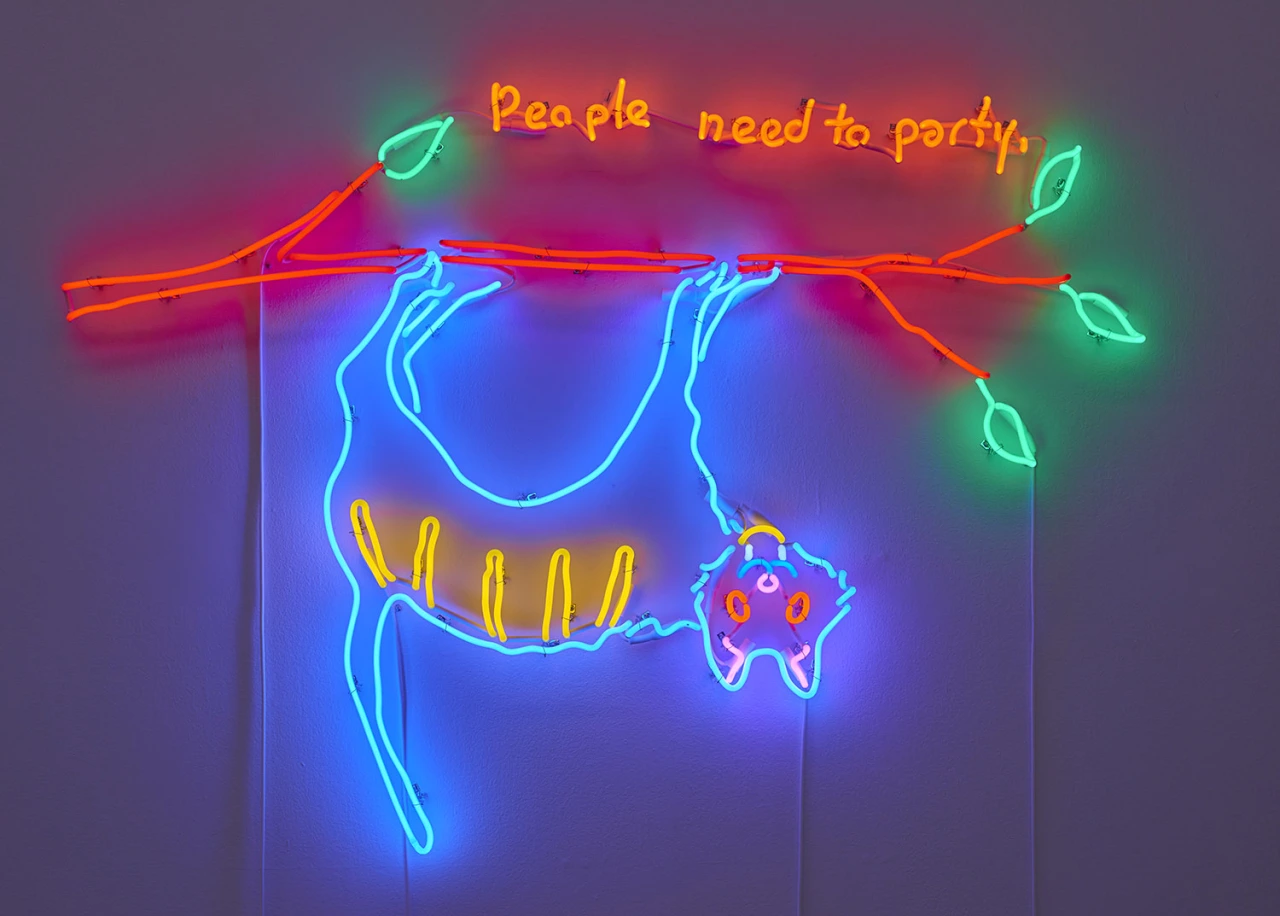 Dan Attoe Cat, 2019