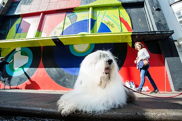 Via Creative Boom submission. All images courtesy of Dulux
