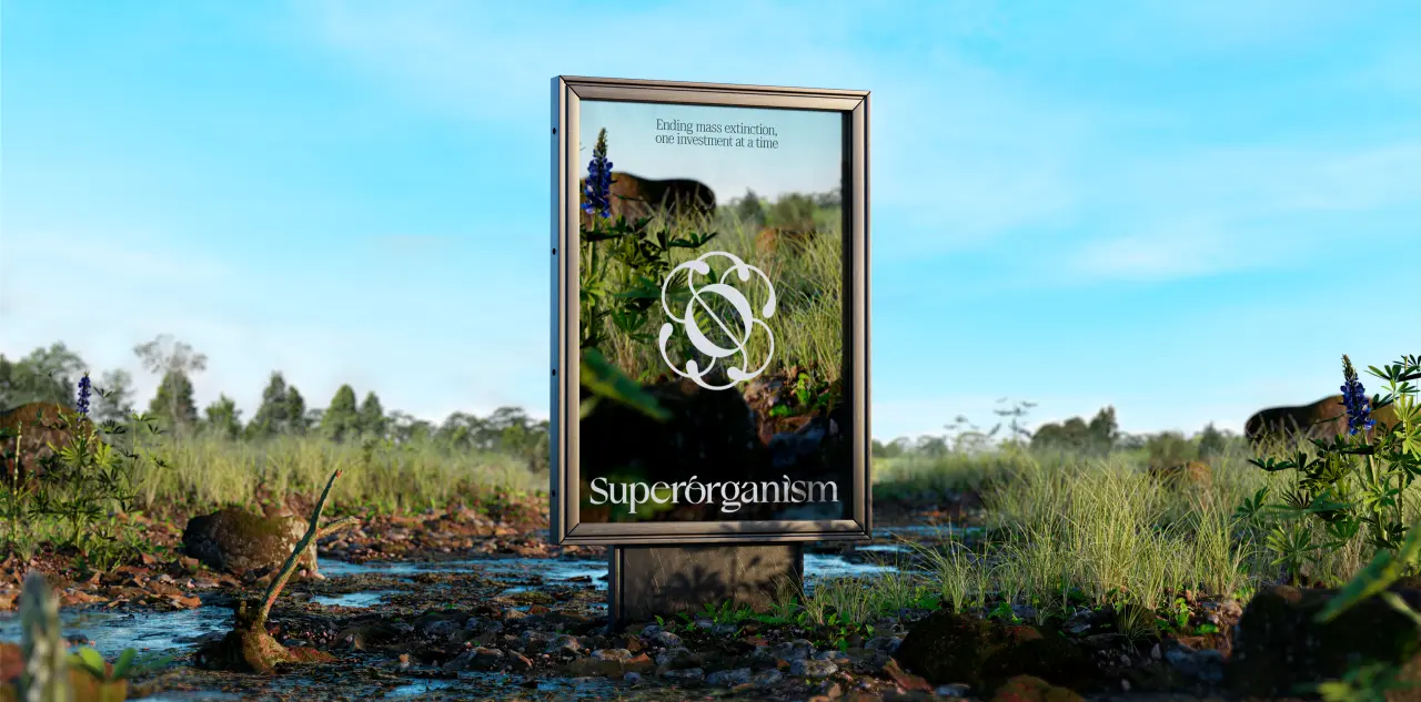 Work by Goodside Studio for Superorganism