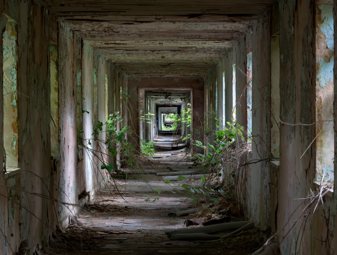 2017 Overall Winner - Matt Emmett - Nocton Hall Military Hospital