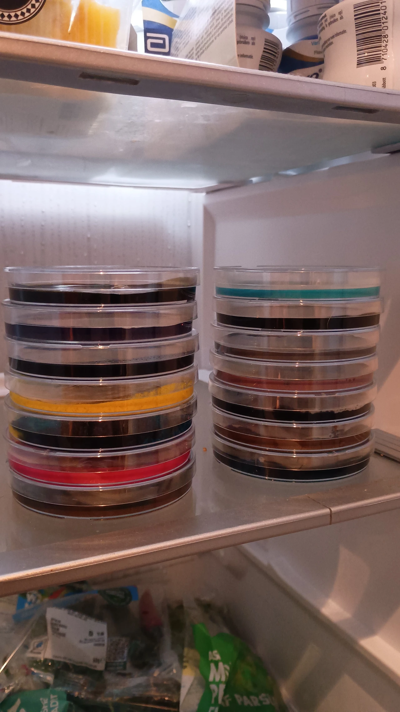 Two stacks of petri dishes containing cultured fungi in various colours including yellow, red, brown and black, stored in a refrigerator