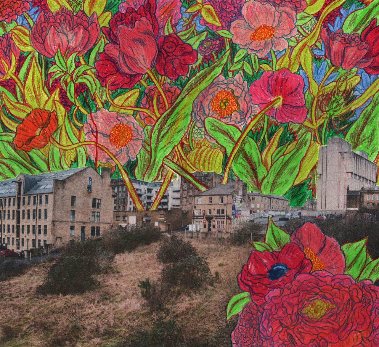 © Hannah Lock