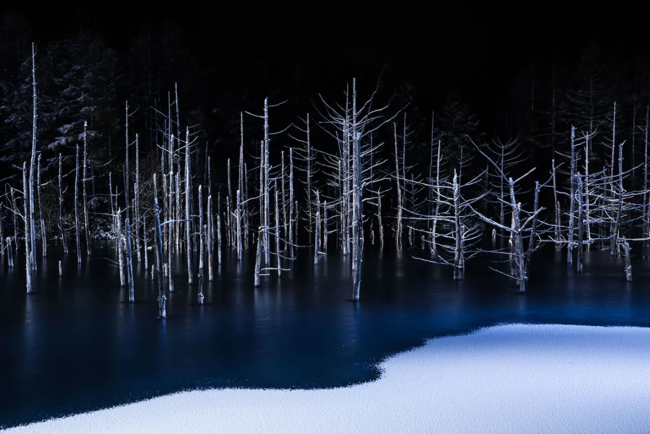 Copyright: © Hiroshi Tanita, Japan, 1st Place, Open, Nature, 2017 Sony World Photography Awards