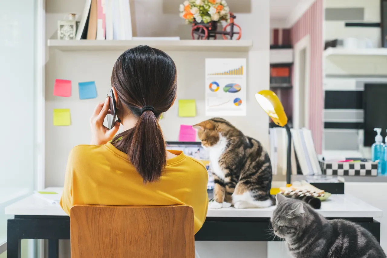 Image licensed via Adobe Stock