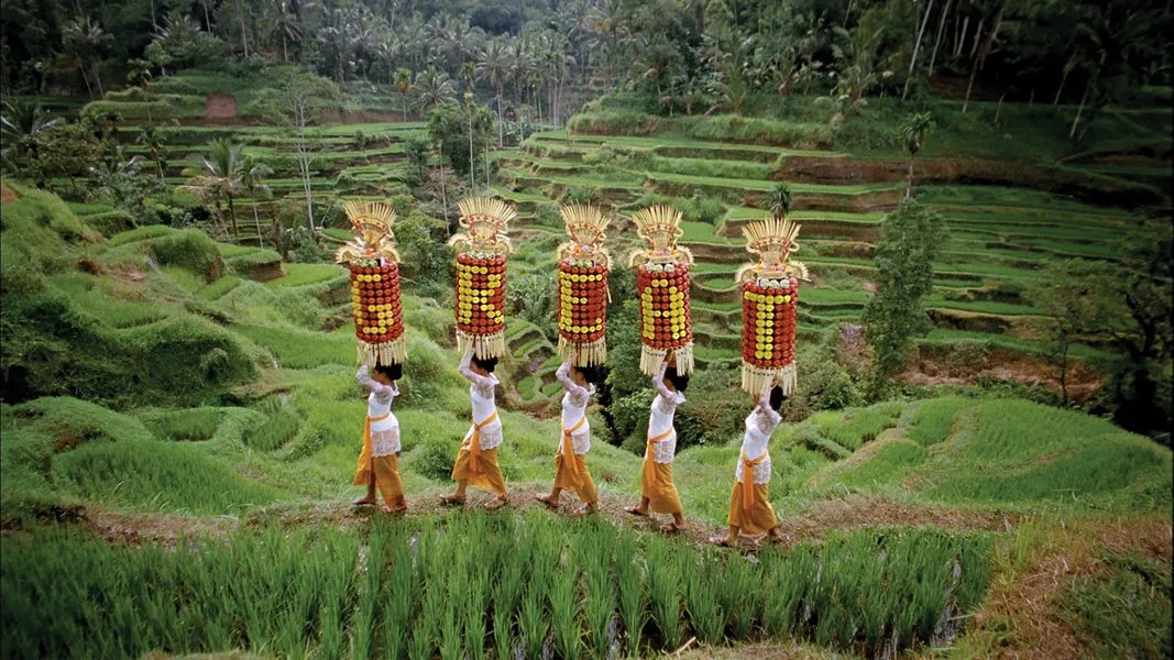 Standard Chartered Commercial