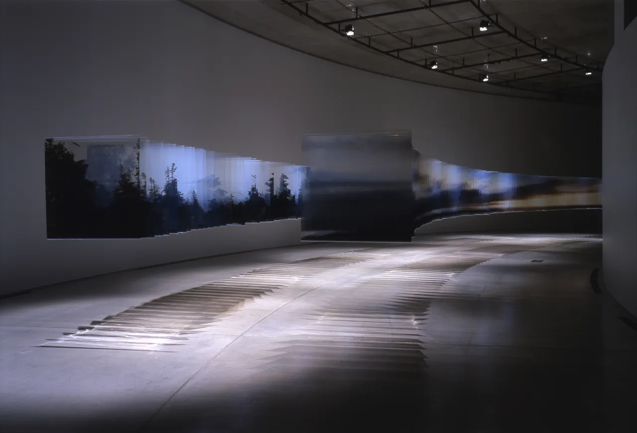 © Tadasu Yamamoto