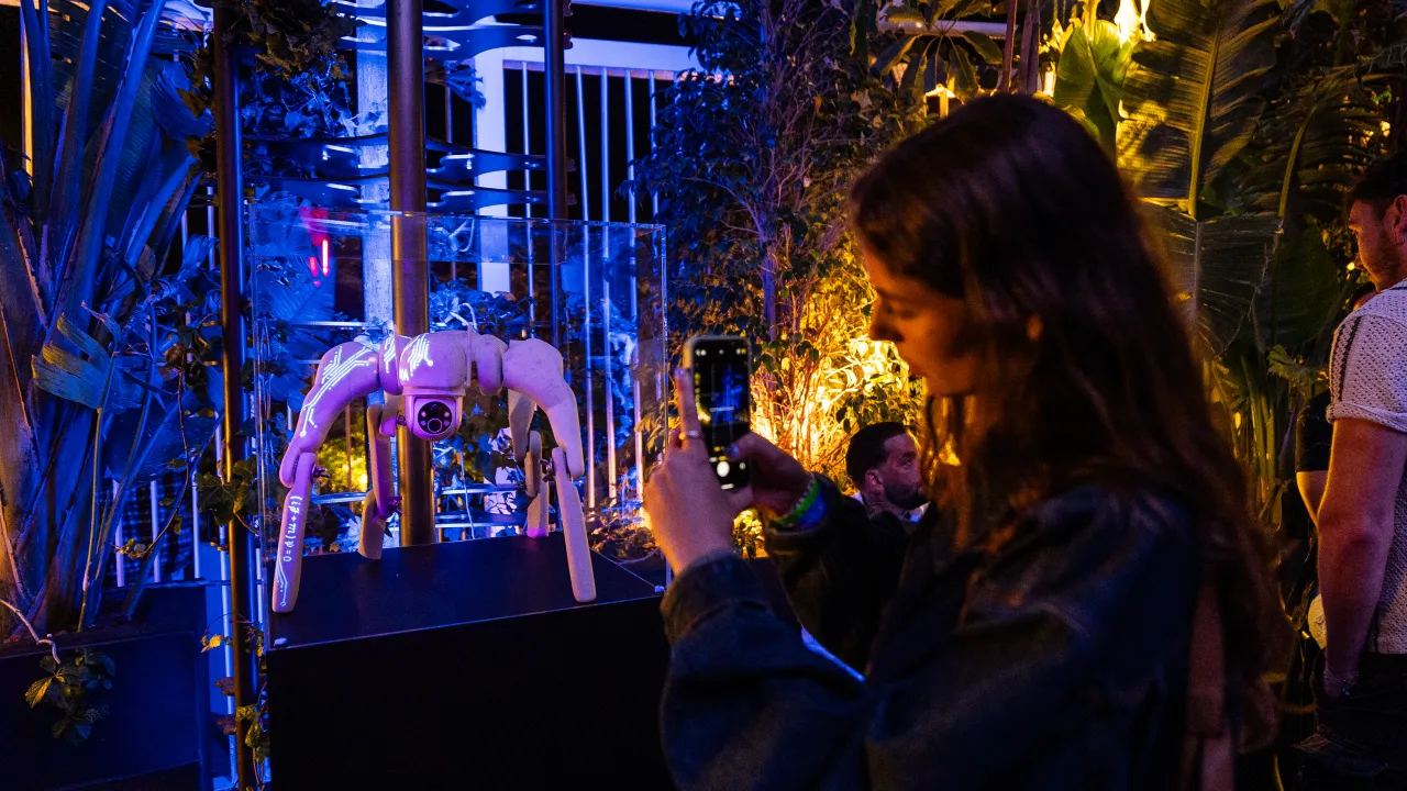 Photo: W1 Curates/The Night League