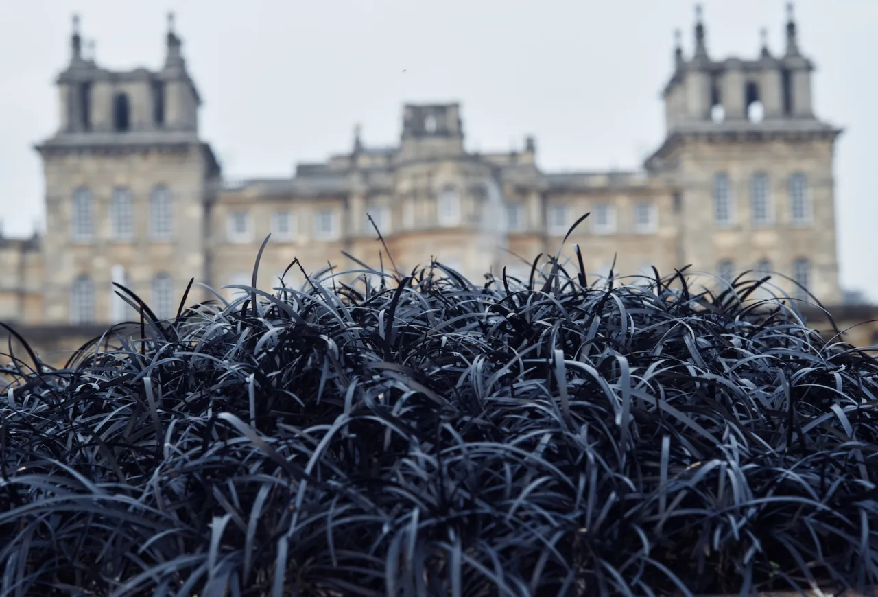 Black Pots, 2017 SOFTER: Jenny Holzer at Blenheim Palace , Blenheim Palace, Woodstock, UK, 2017 © 2017 Jenny Holzer, member Artists Rights Society (ARS), NY Photo: Edd Horder