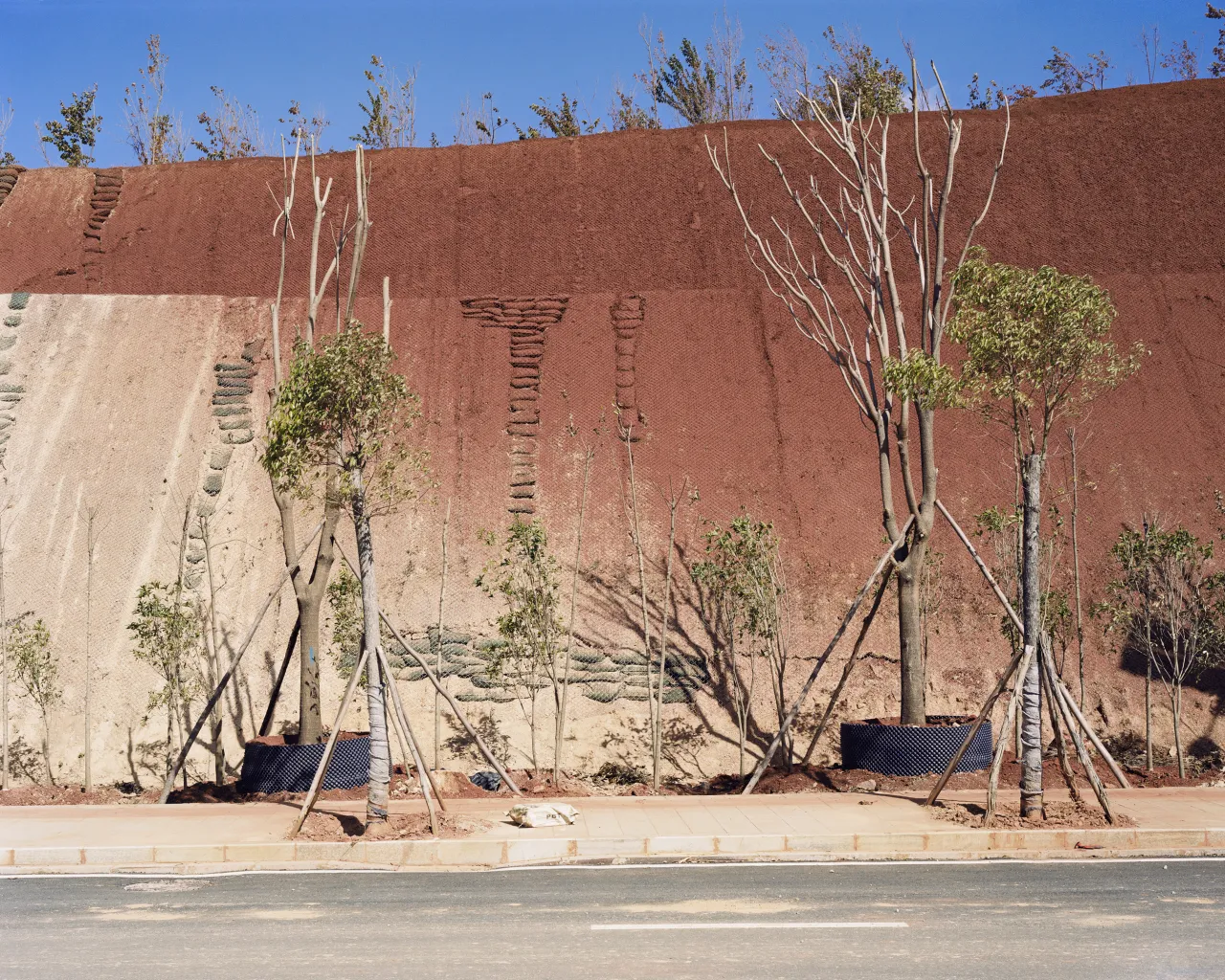Roadside ecology recovery project, Dali, 2017. © Yan Wang Preston