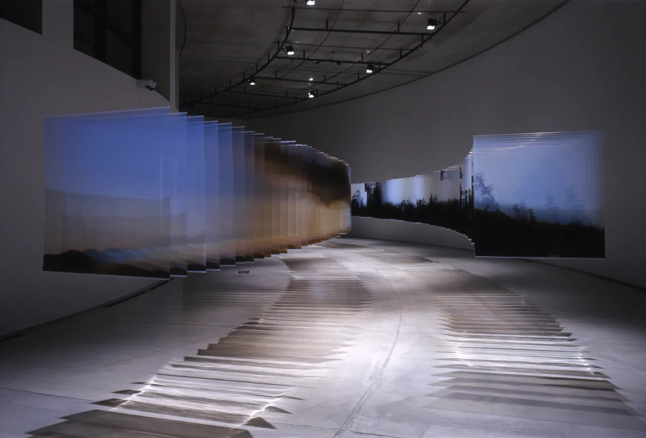 © Tadasu Yamamoto
