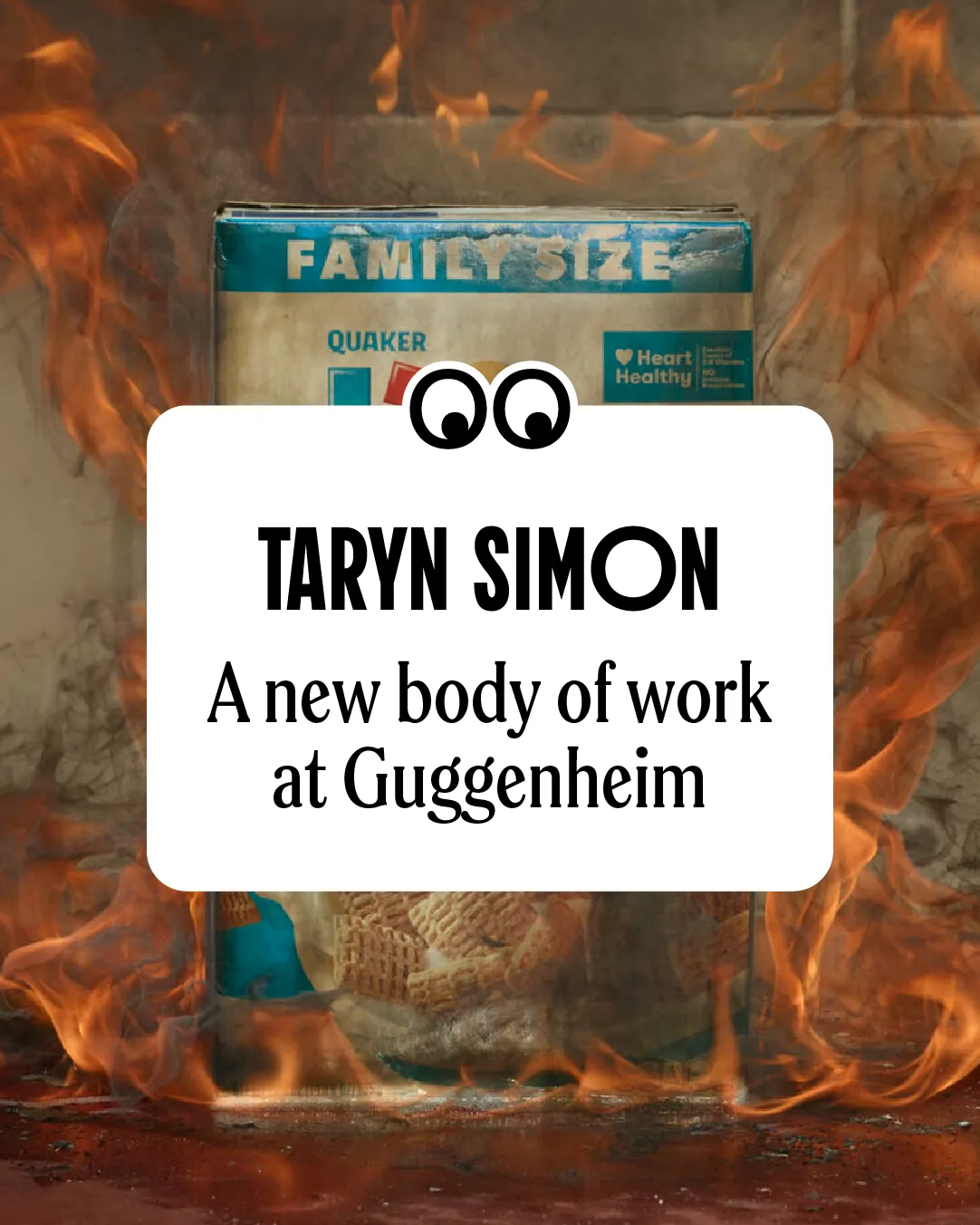 Taryn Simon | Father Country I Do Love You — Guggenheim, New York