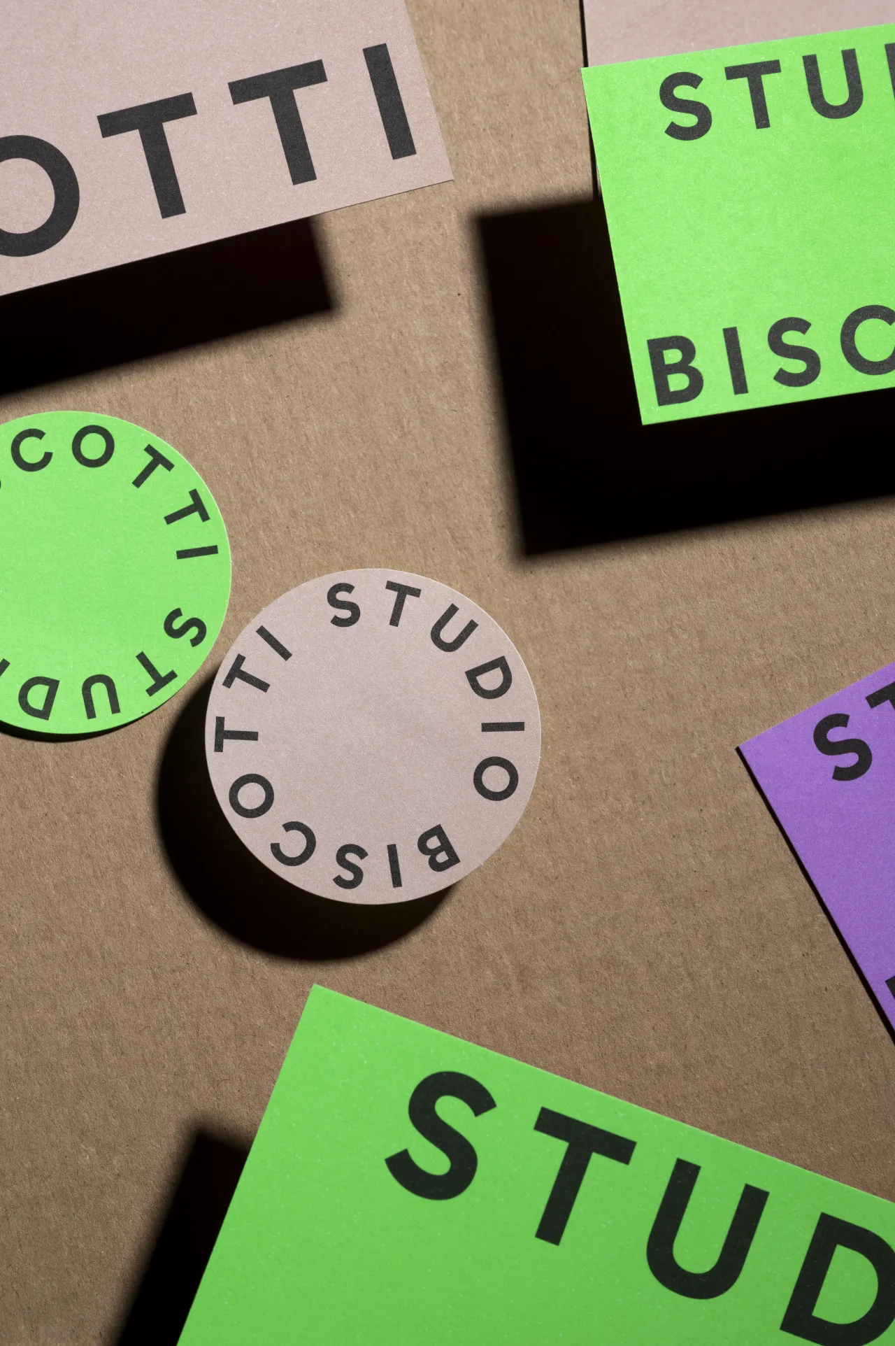 Studio Biscotti © Mathilda Mutant