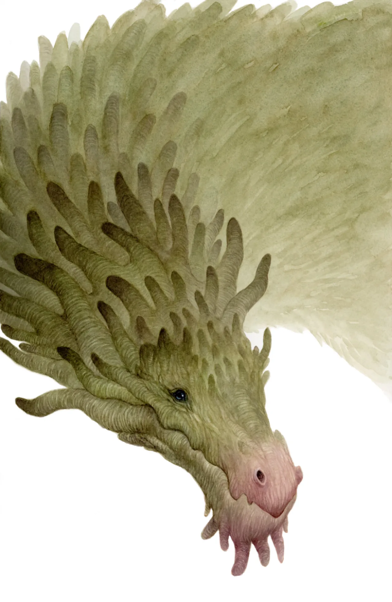 The wood dragon