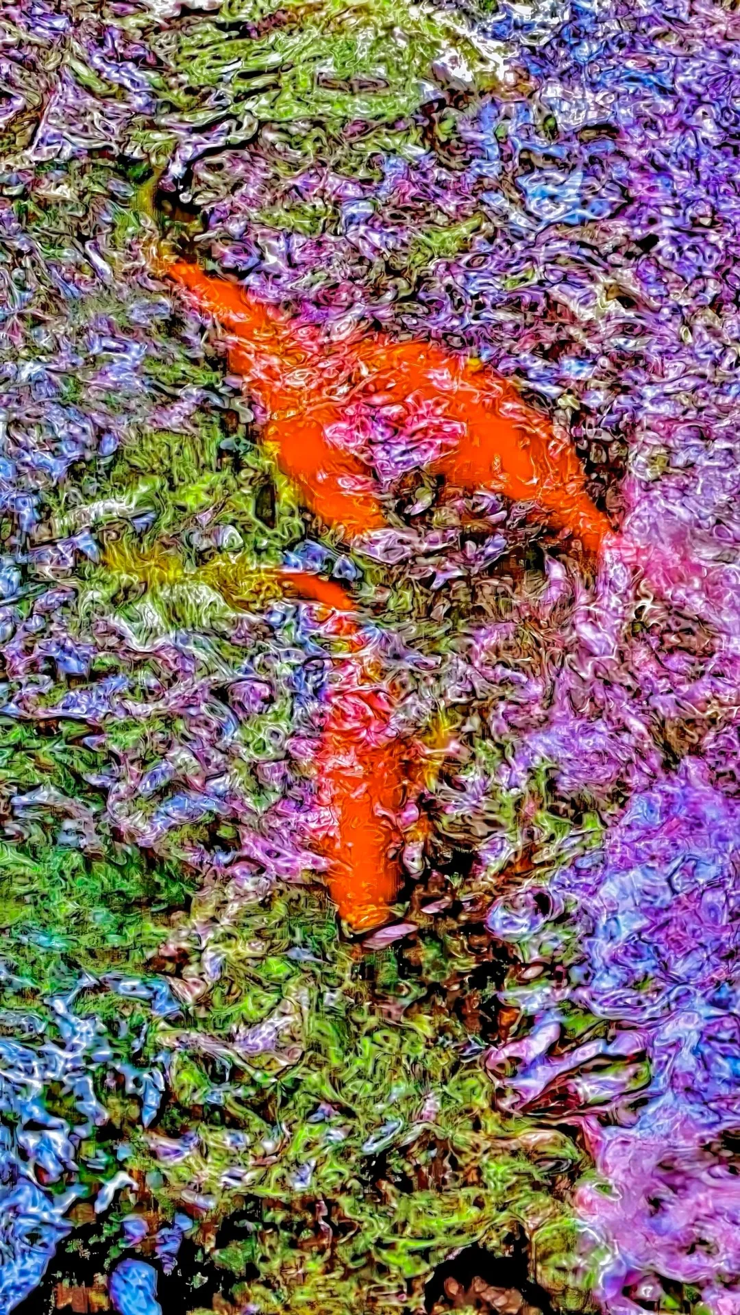 "Pen's Koi Pond with blossom reflections" by Pen Densham. Part of the Dragon's Gate Koi Series. Taken in LA, California, 2009