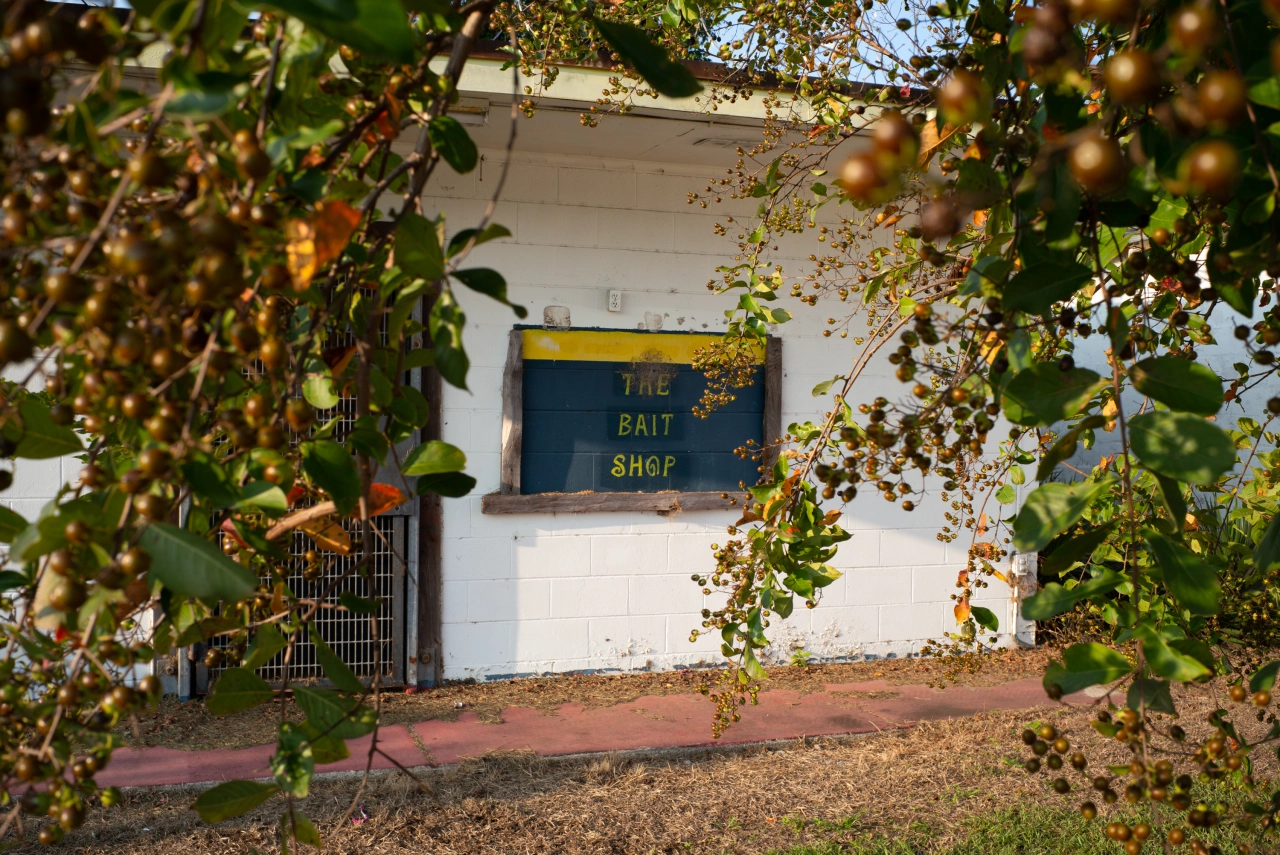 © Peter Stitt, from the book A Southern Verse, published by Daylight Books