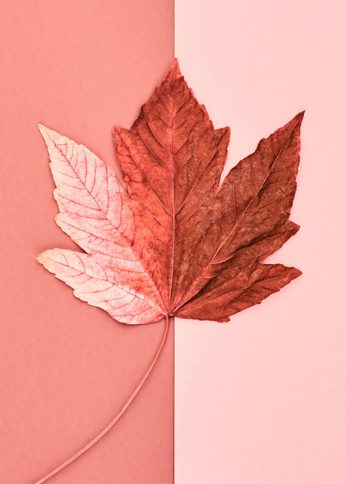 Image courtesy of [Adobe Stock](https://stock.adobe.com/uk/)