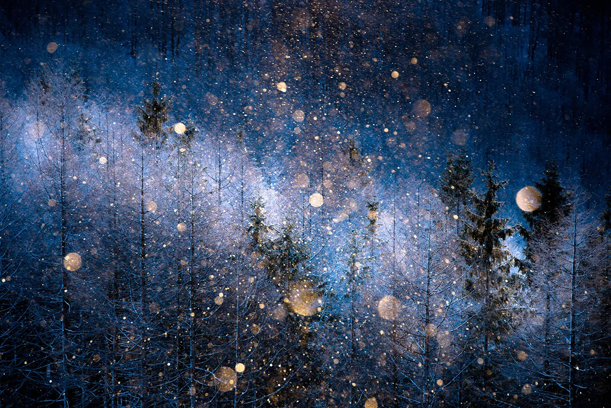 This picture was taken in February in Nagano-ken at an altitude of about 1,700 m | © Masayasu	 Sakuma, Japan, Shortlist, Open, Nature, 2017 Sony World Photography Awards
