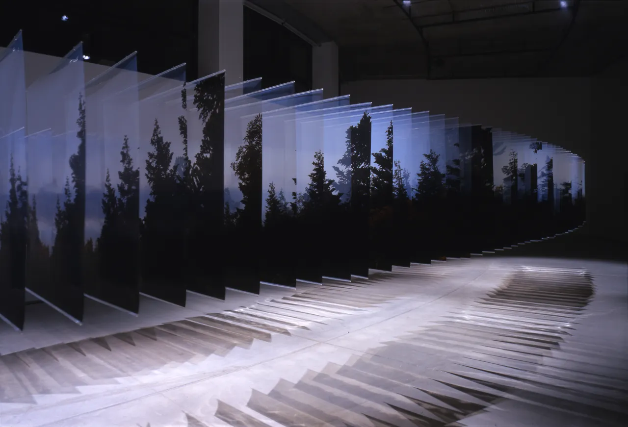 © Tadasu Yamamoto