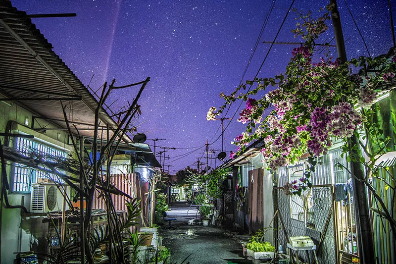 Youth: Yong Lin Tan, Winner, Environment Malaysia, 2015