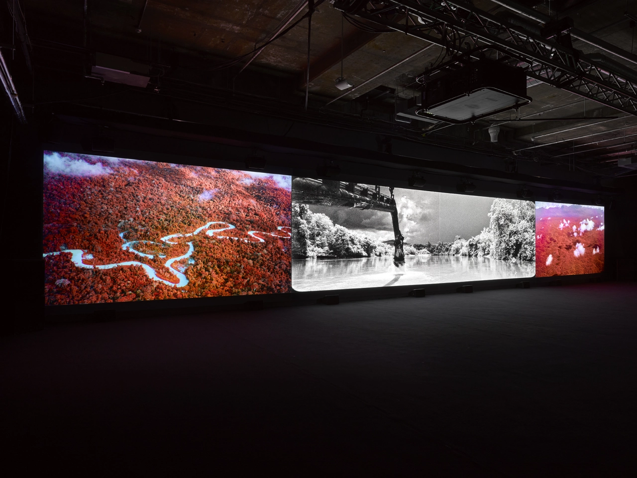 Richard Mosse Broken Spectre. Photo by Jack Hems