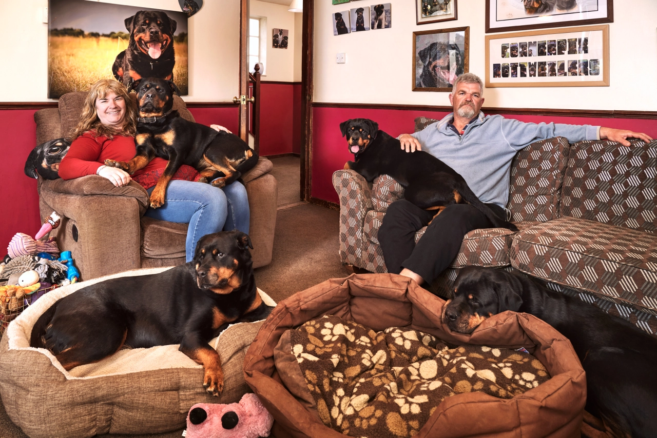 From the series and book, Living With Dogs © Dylan Collard