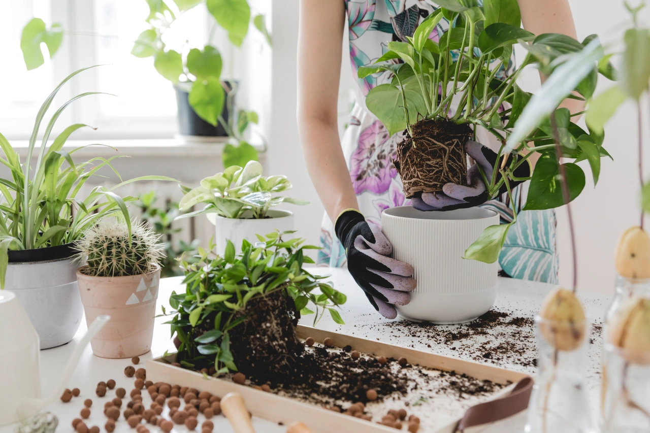 Image licensed via Adobe Stock