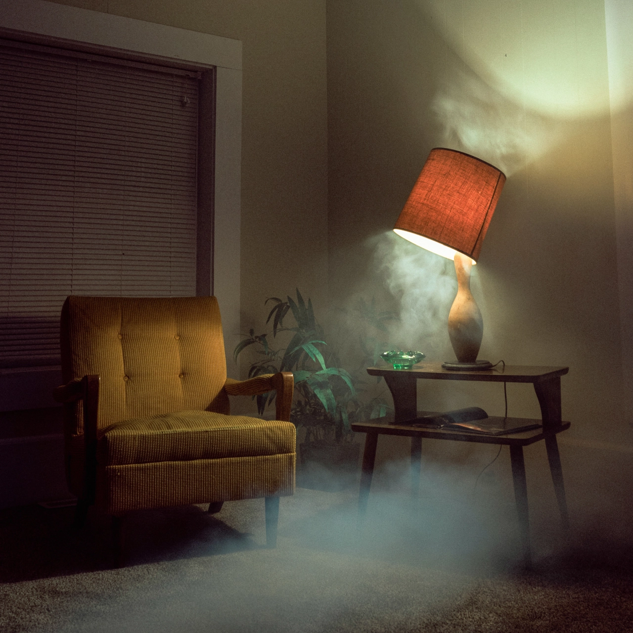 © Michael McCluskey