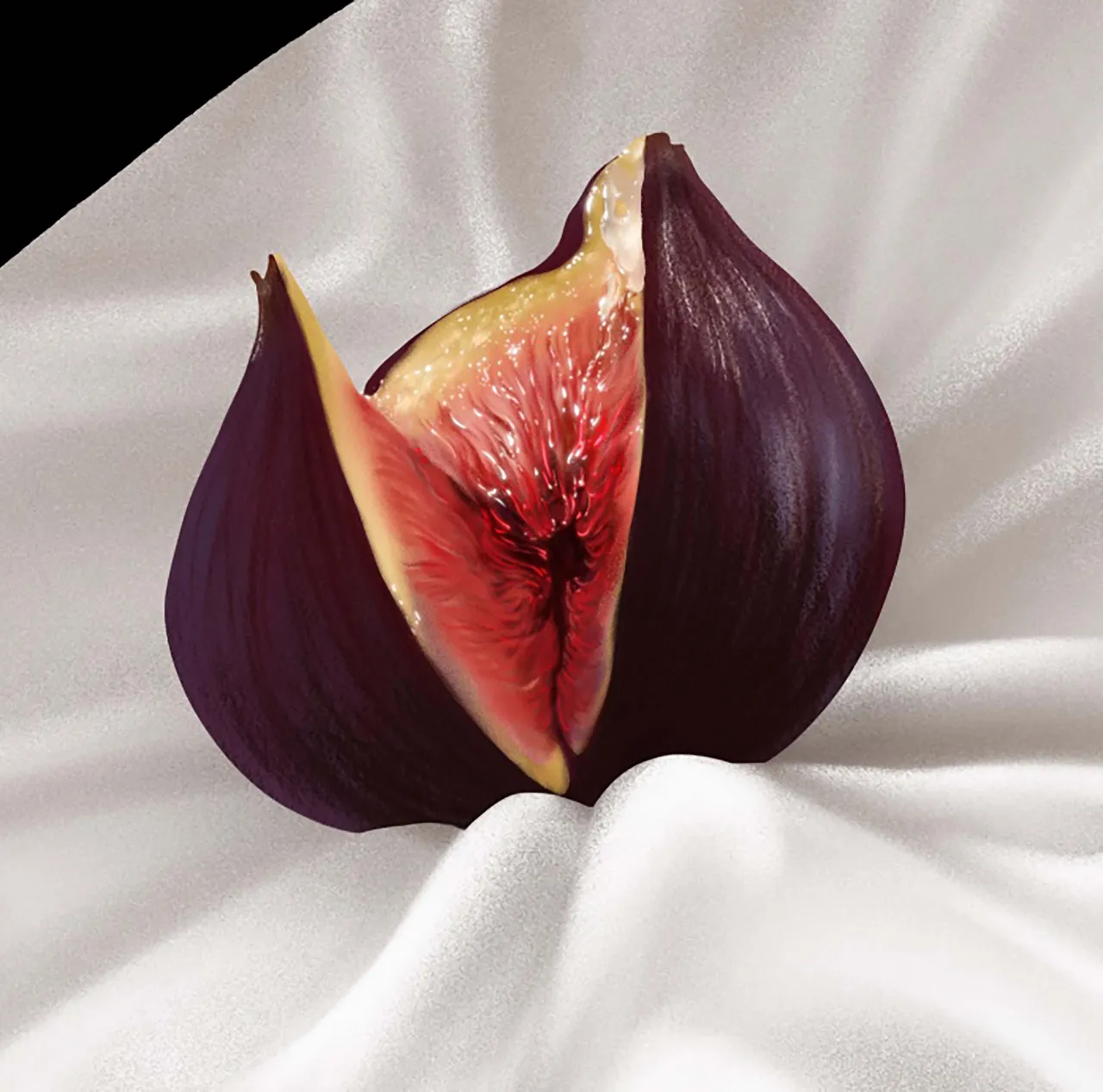 Pillow Knows Fig