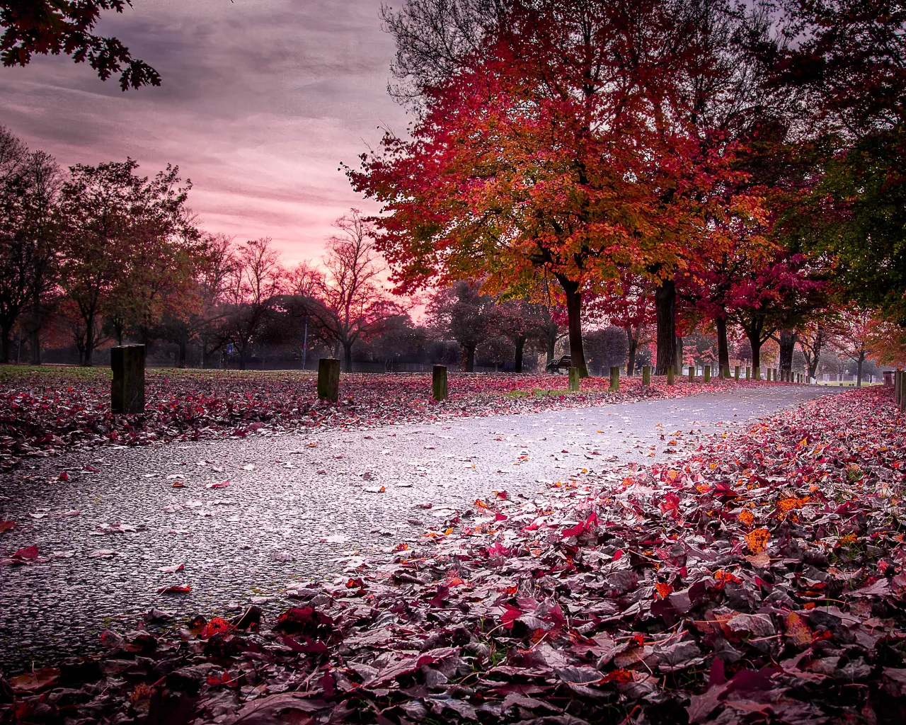 Image credit: Paul Welburn