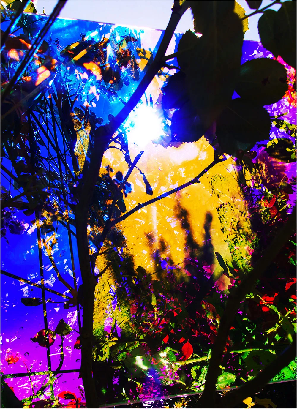 Untitled 18 from Heterotopia © Karine Laval