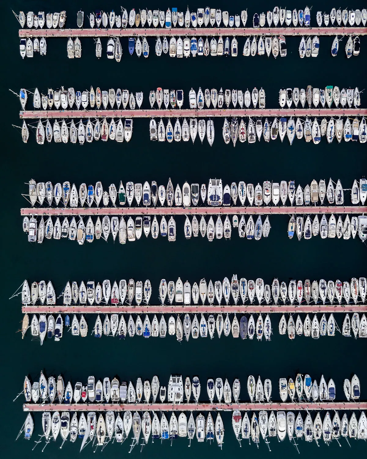 © Márton Mogyorósy
