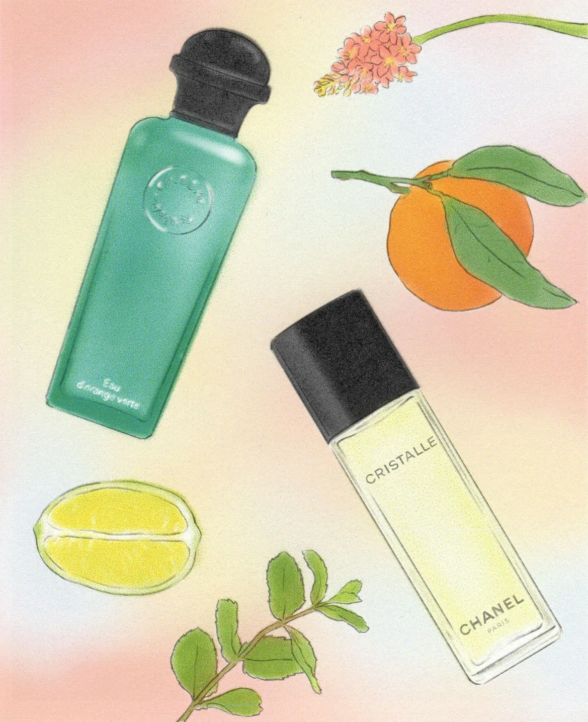 Pour L'amour de l'eau fraiche, M Magazine