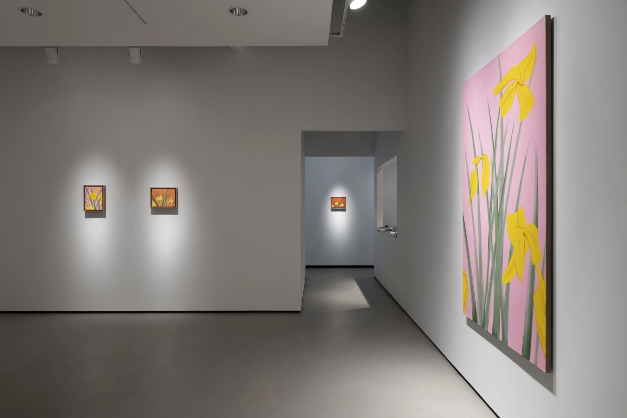 Installation shot from Richard Gray Gallery