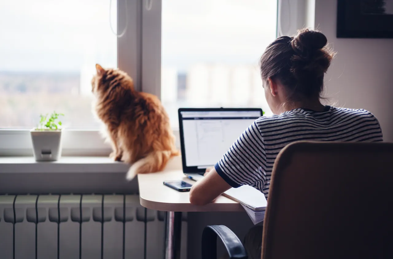 Image licensed via Adobe Stock