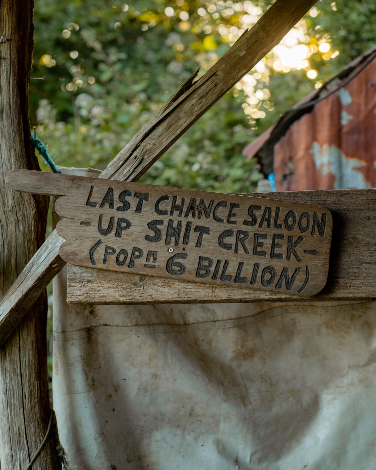 © Daniel Dayment