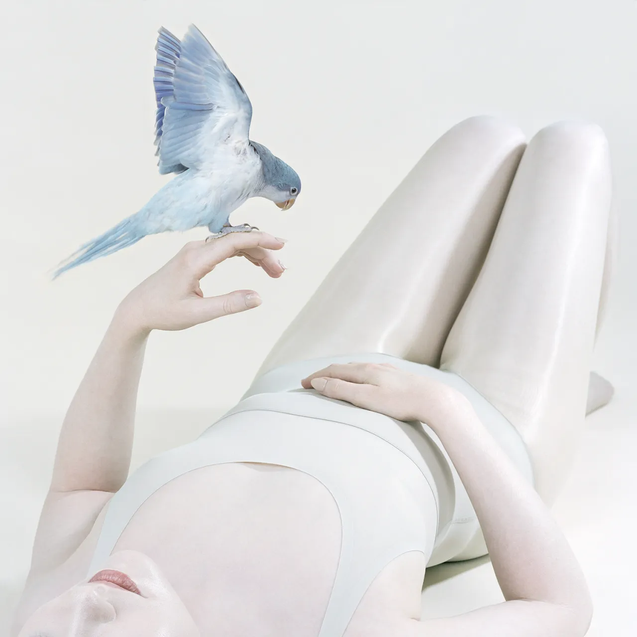 Blue Bird, 2018 pigment print 100 x 100 cm edition of 8 + 2AP $6,000 unframed 120 x 120 cm edition 4 + 2AP $8,000 unframed. © Petrina Hicks