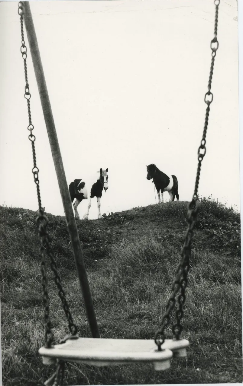 Jo Spence Gypsies (27) 1974. Courtesy the artist estate