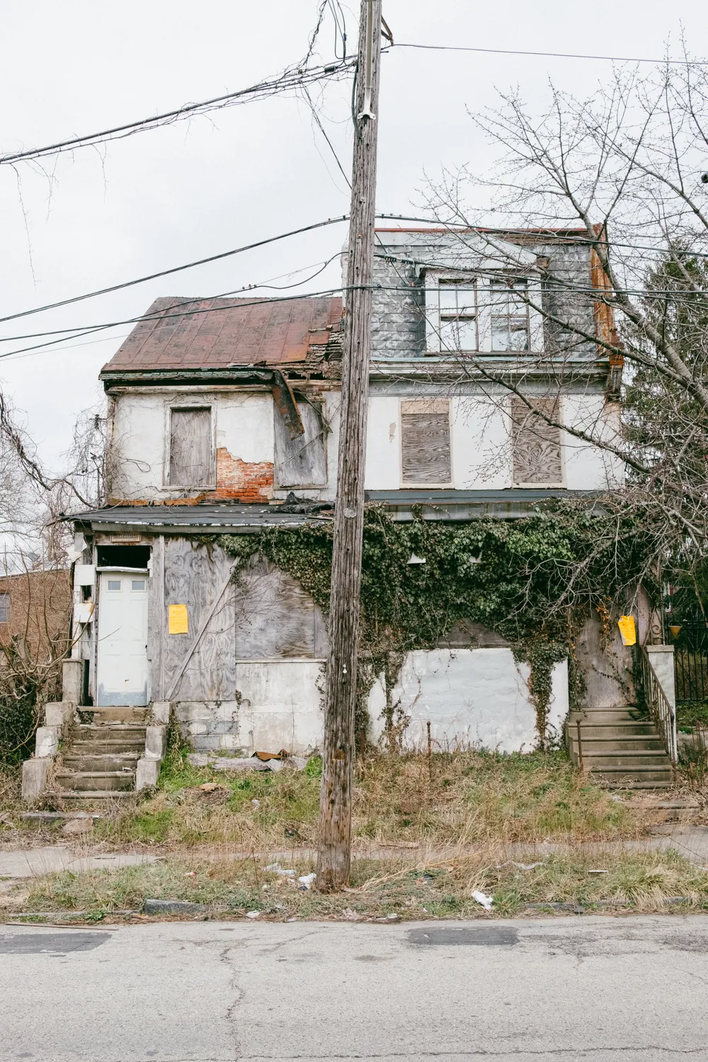 © Austin Hodges