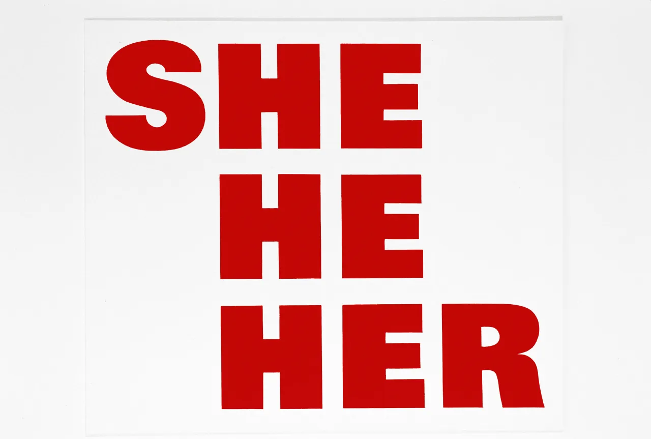 Kay Rosen She-Man, 1996 – 2018 Sign paint on wall, dimensions variable. © Kay Rosen. Courtesy the artist and Philipp Pflug Contemporary