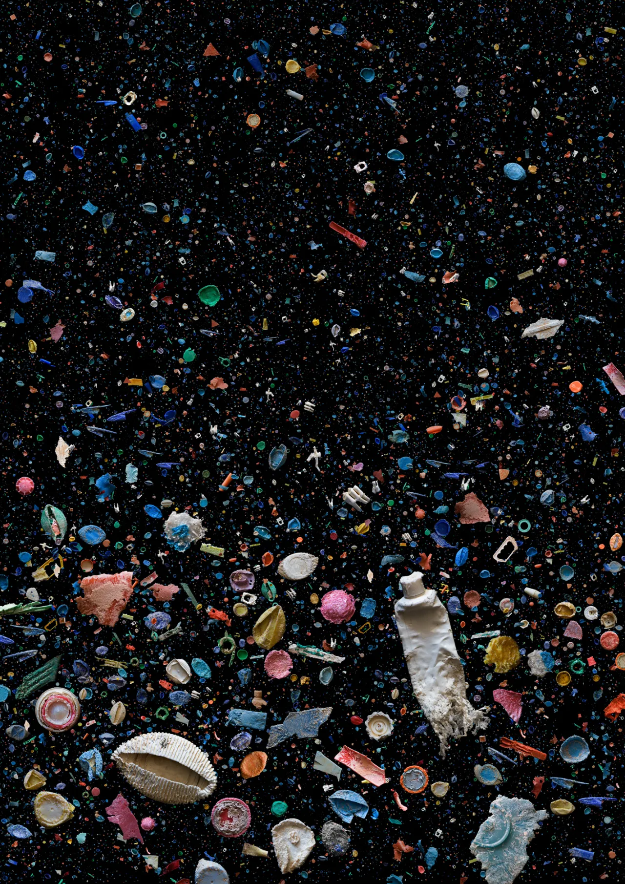 Mandy Barker, Hong Kong Soup Refused 2015 image courtesy of the artist.
