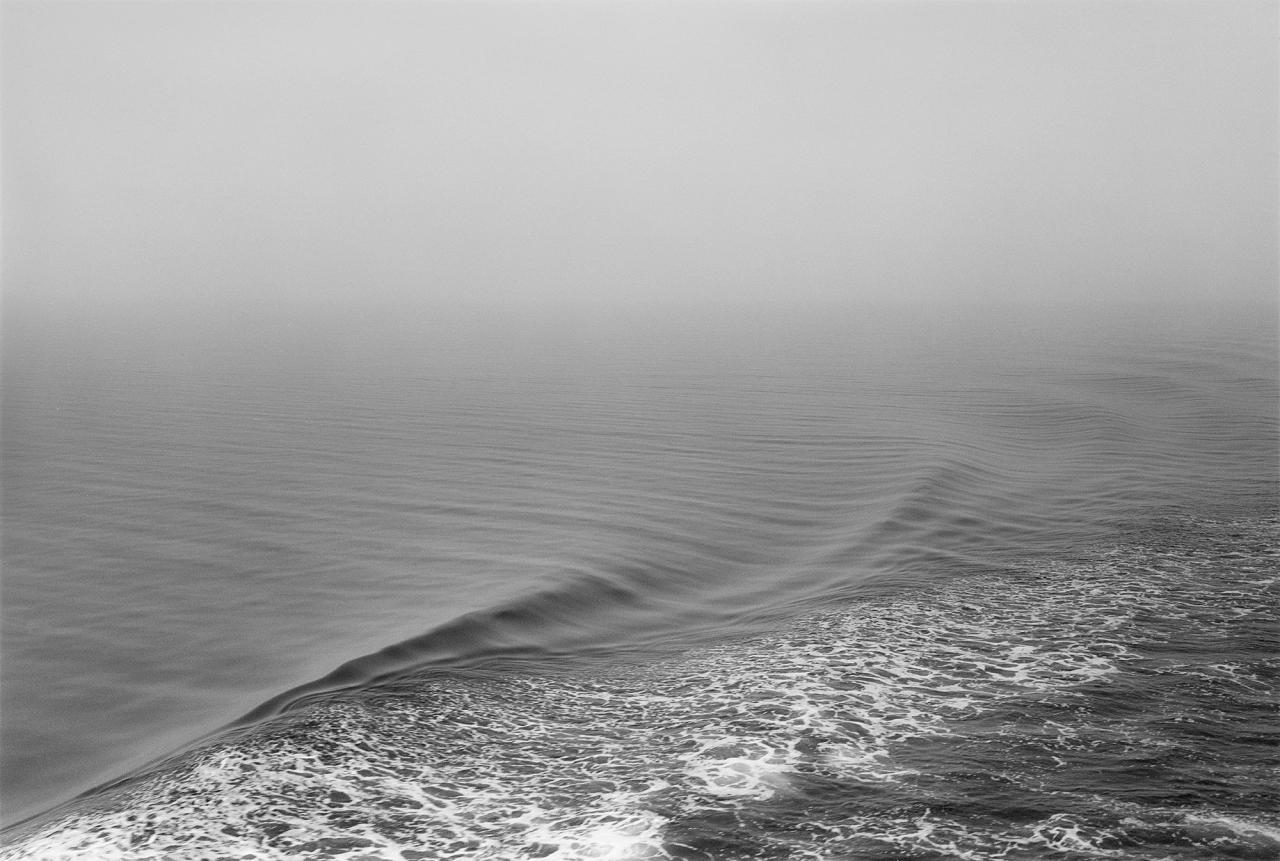 © Sergio Purtell