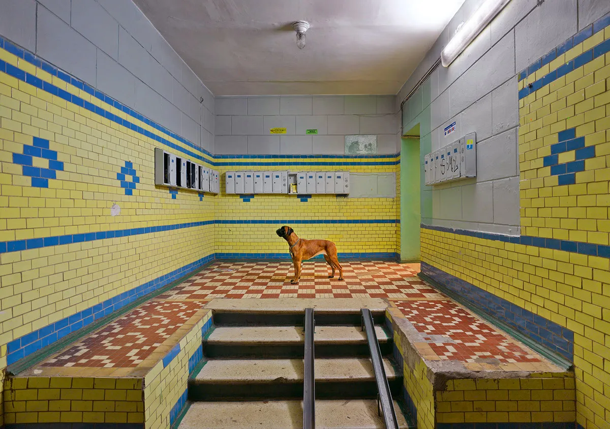 Missed, 2016 © Frank Herfort