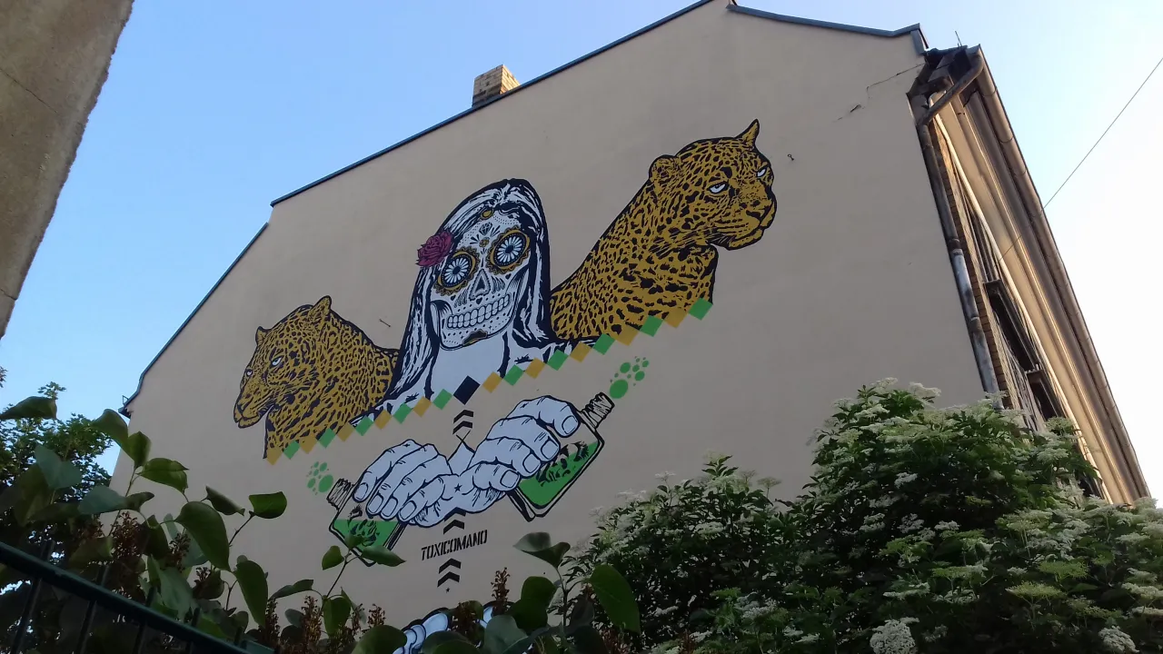 Street art in Connewitz, a vibrant area of the city still infliuenced by squatting culture