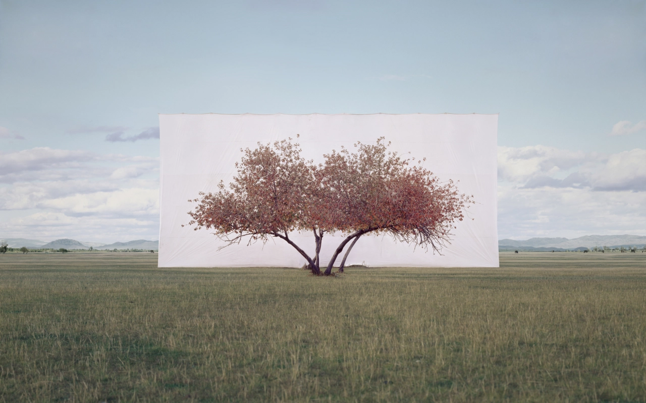 Myoung Ho Lee Tree... #2, 2012 © the artist 2020  Courtesy Myoung Ho Lee and Gallery Hyundai