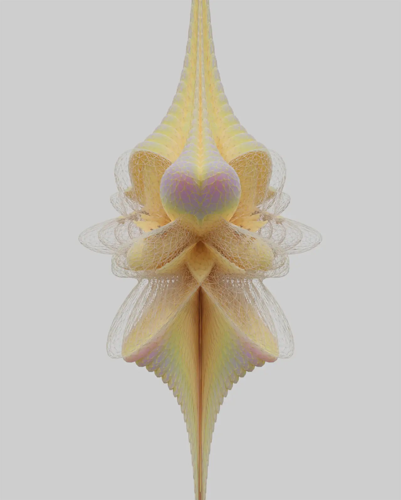 Delicate #154 © Mohammad Alhaj